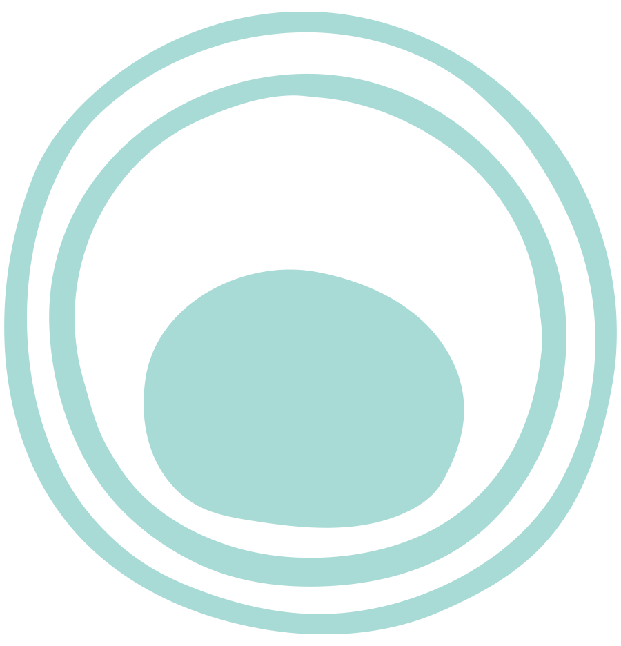 Site Favicon